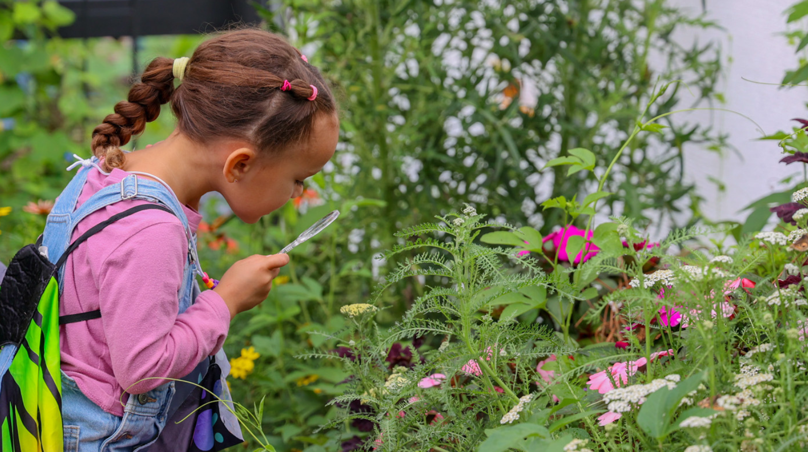 A young girl observes a beautiful flower garden, captivated by the variety of colors and shapes of the flowers.